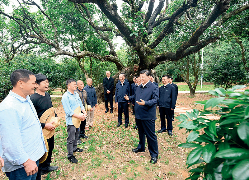 习近平：加快构建新发展格局 把握未来发展主动权