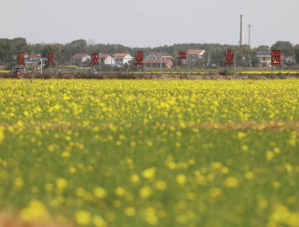 新华社记者 王晔 摄 新华社记者 王晔 摄