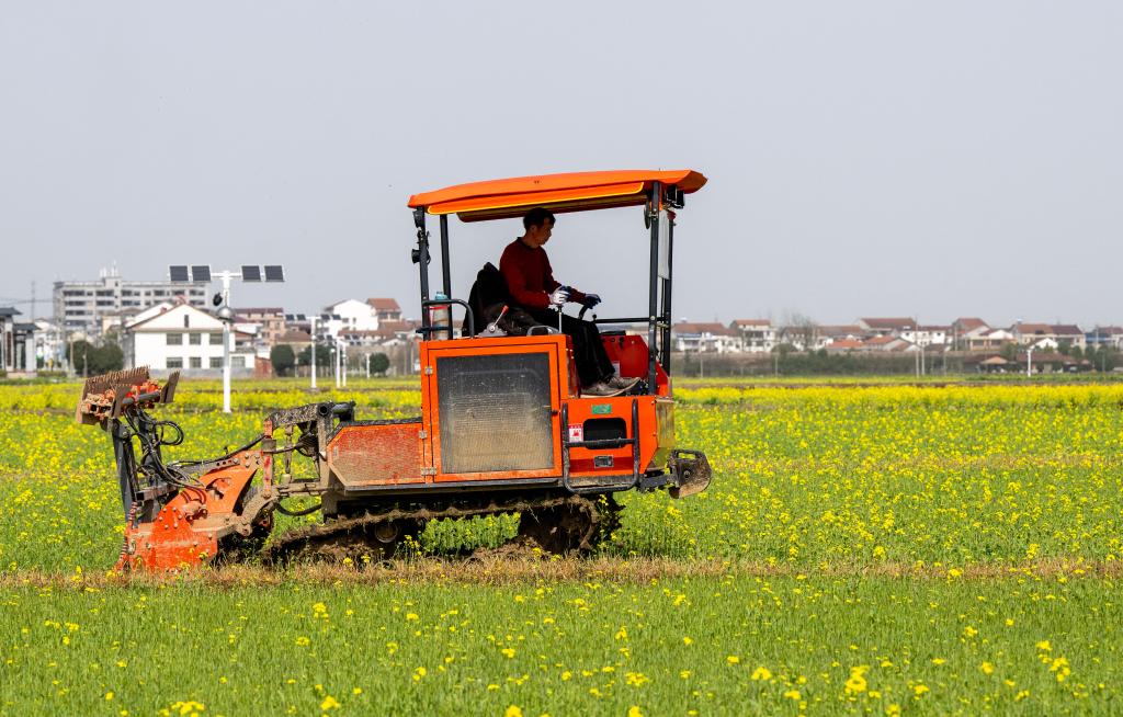 新华社记者 谢环驰 摄 新华社记者 谢环驰 摄