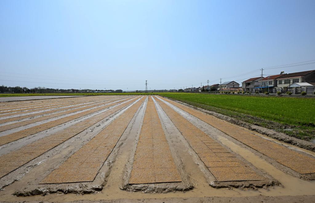 新华社记者 谢环驰 摄 新华社记者 谢环驰 摄