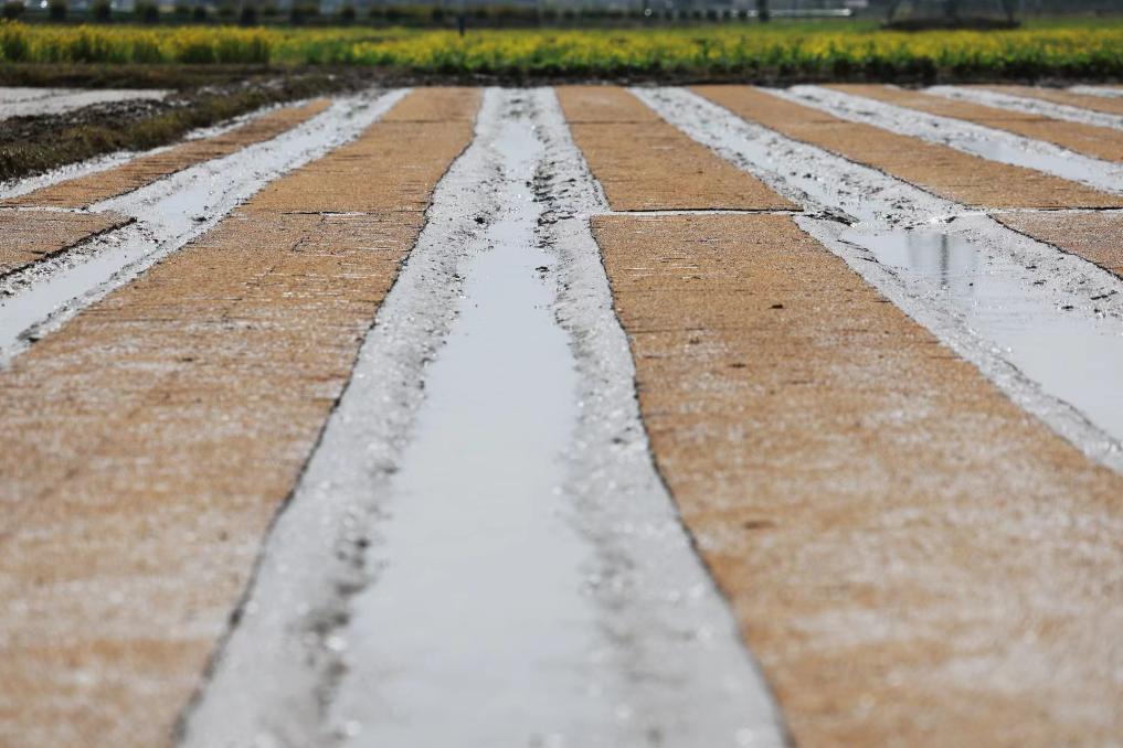 新华社记者 王晔 摄 新华社记者 王晔 摄