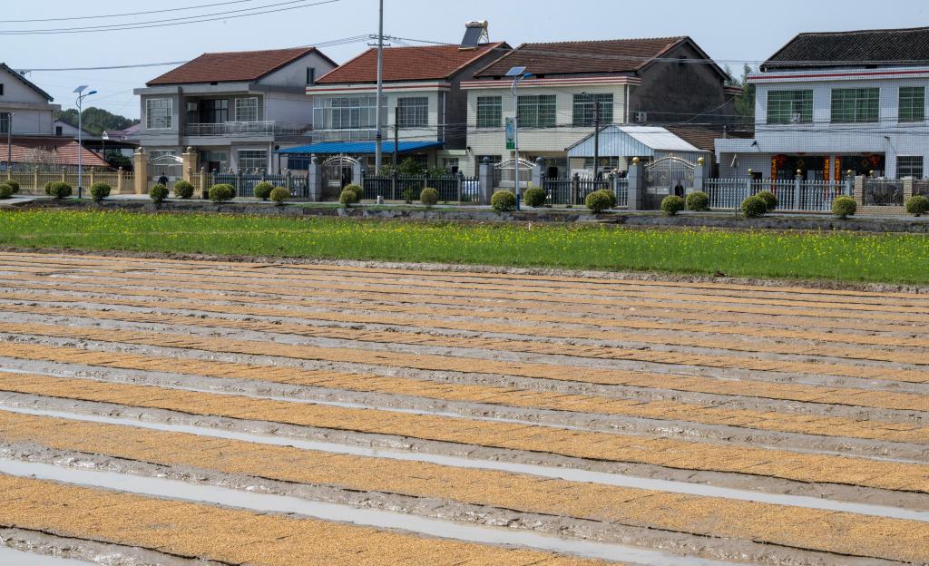 新华社记者 谢环驰 摄 新华社记者 谢环驰 摄