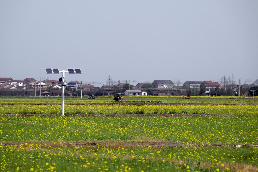 新华社记者 谢环驰 摄 新华社记者 谢环驰 摄