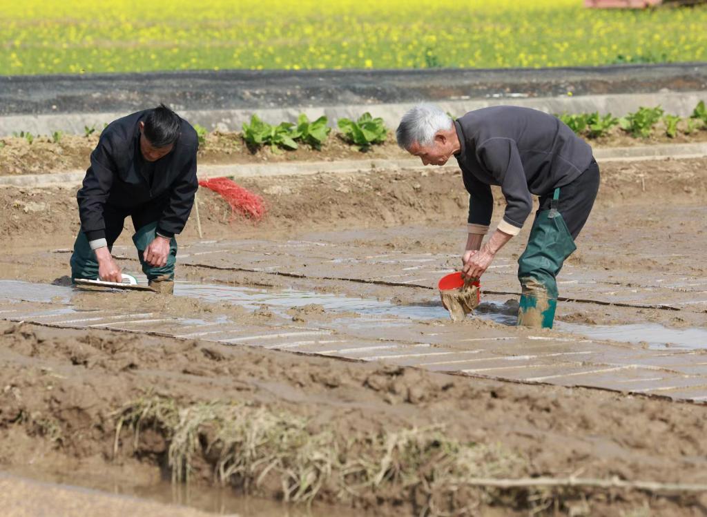 新华社记者 王晔 摄 新华社记者 王晔 摄