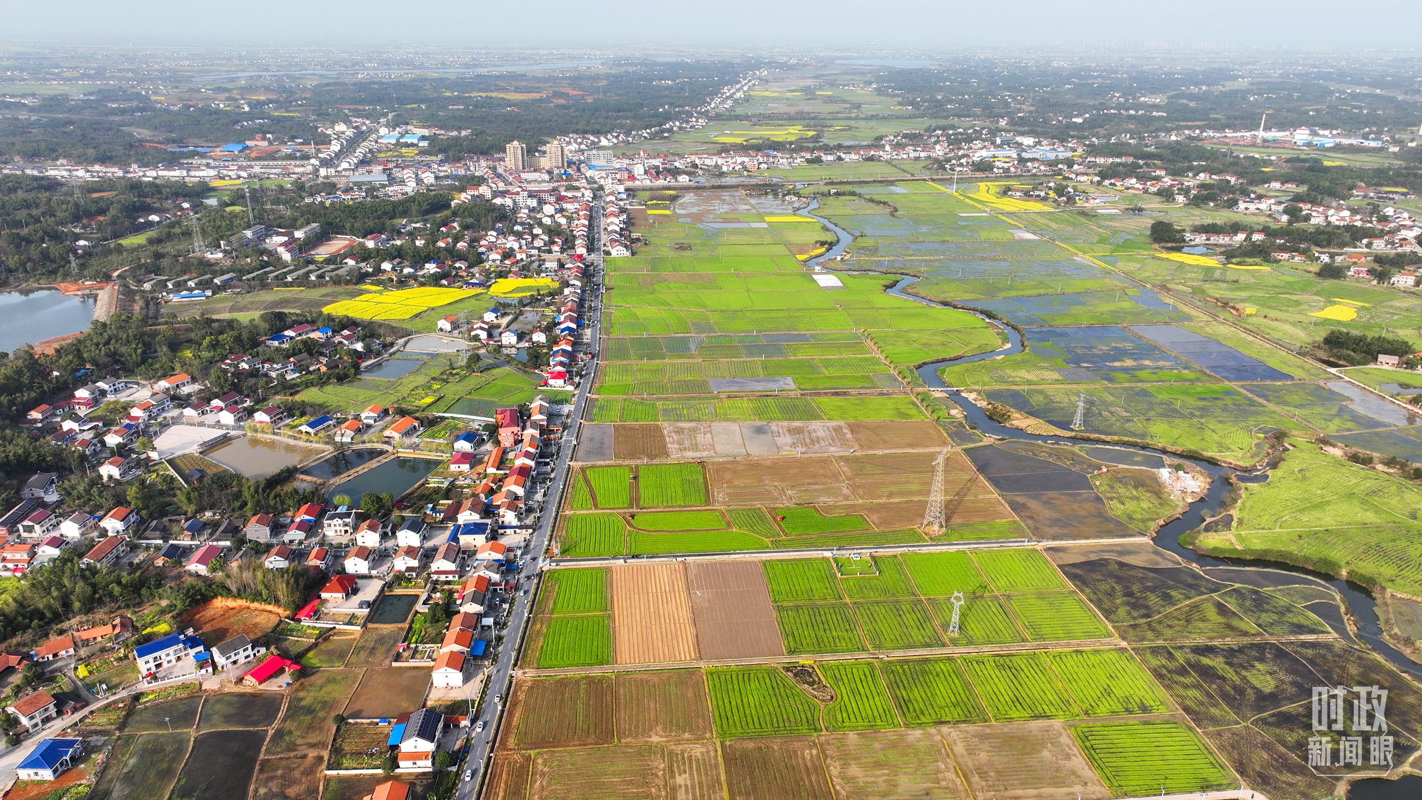 △俯瞰常德市谢家铺镇港中坪村。(总台国广记者李晋拍摄) △俯瞰常德市谢家铺镇港中坪村。(总台国广记者李晋拍摄)