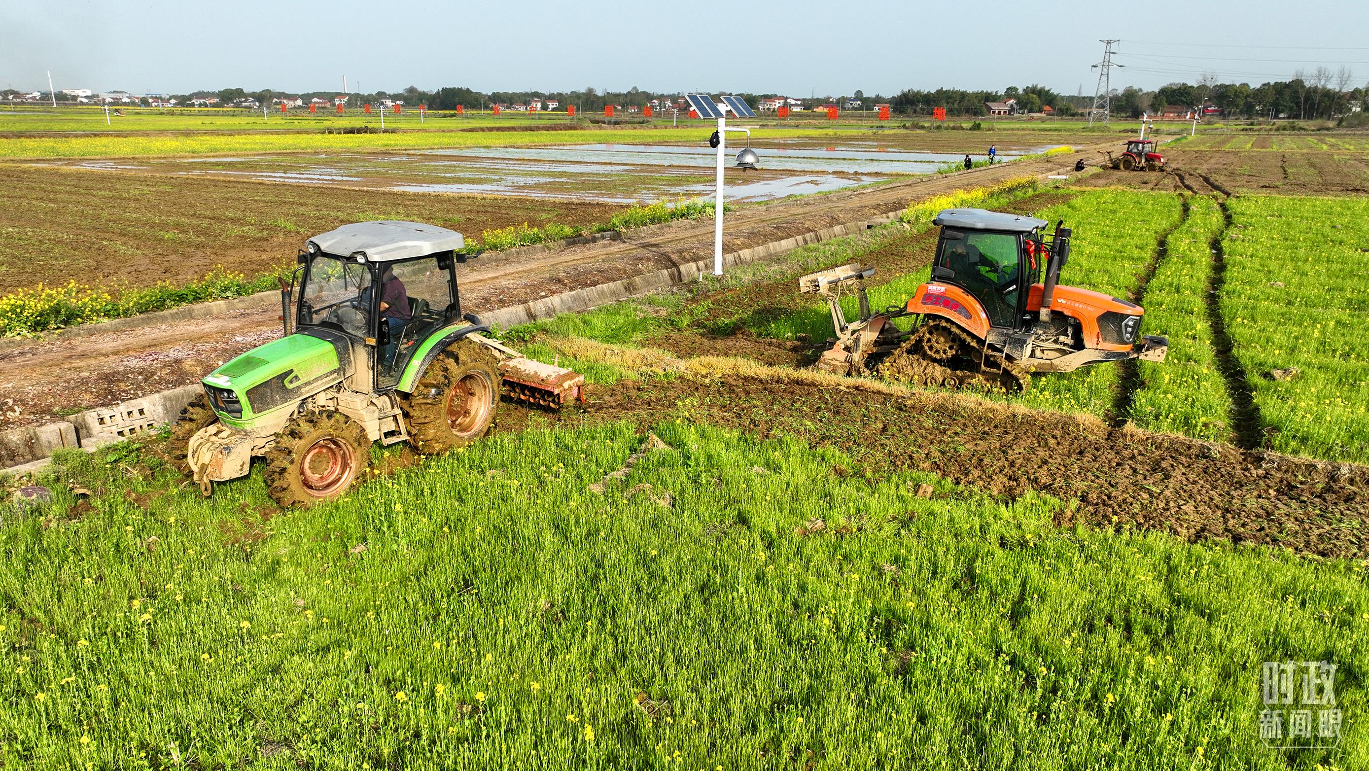 △位于港中坪村的粮食生产万亩综合示范片区,春耕备耕生产繁忙。(总台央广记者潘毅拍摄) △位于港中坪村的粮食生产万亩综合示范片区,春耕备耕生产繁忙。(总台央广记者潘毅拍摄)