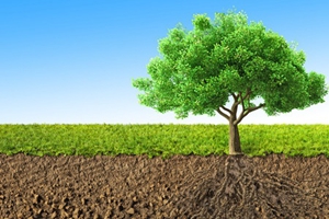 建立基金制度 打破土壤修复瓶颈