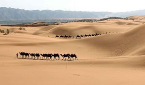 中华农业文明的融合与再生