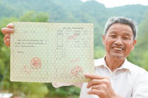 武平林改十五年