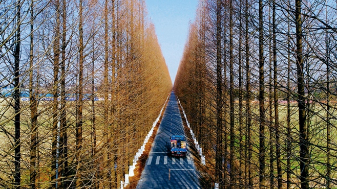 城乡融合发展的新图景