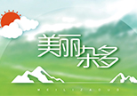 专题丨美丽杂多