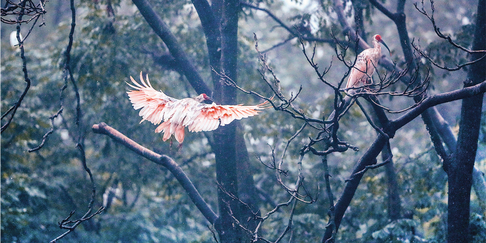 贯彻新发展理念是检验践行&ldquo;两个维护&rdquo;的一个重要尺度