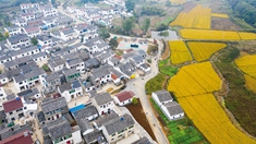 检验践行&ldquo;两个维护&rdquo;的一个重要尺度