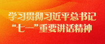 学习贯彻习近平总书记&ldquo;七一&rdquo;讲话精神