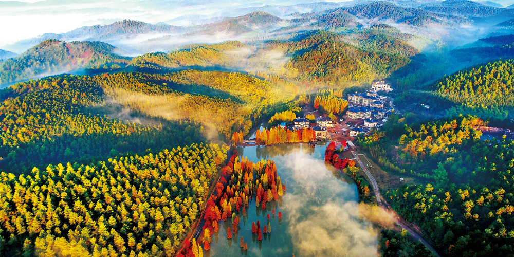 扎实推动高质量发展建设共同富裕示范区