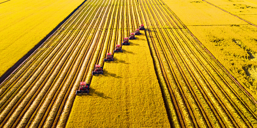 扎实推进乡村全面振兴