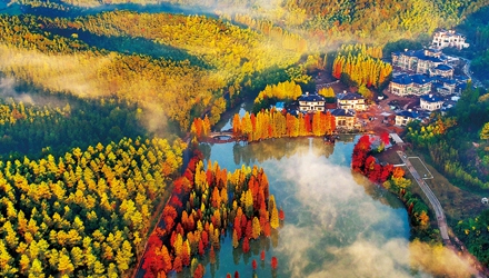 扎实推动高质量发展建设共同富裕示范区