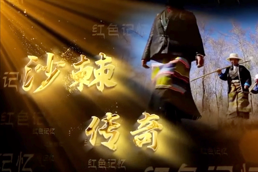 “西藏百万农奴解放纪念日”系列微视频《红色记忆》第三集：沙棘传奇