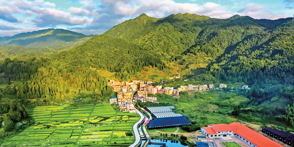 高质量发展调研行（十）