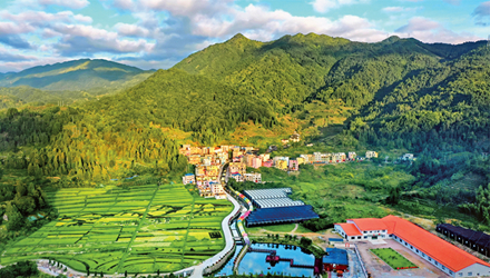 高质量发展调研行（十）