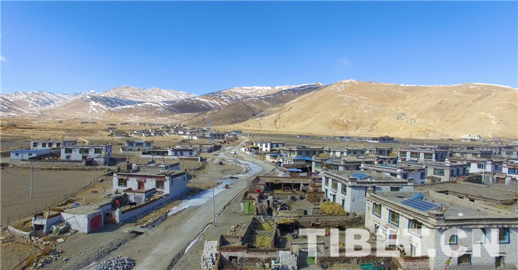 羊卓雍错湖畔脱贫致富新景象