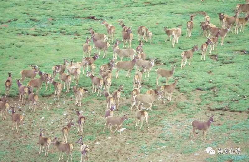 保护中华水塔 当好地球卫士