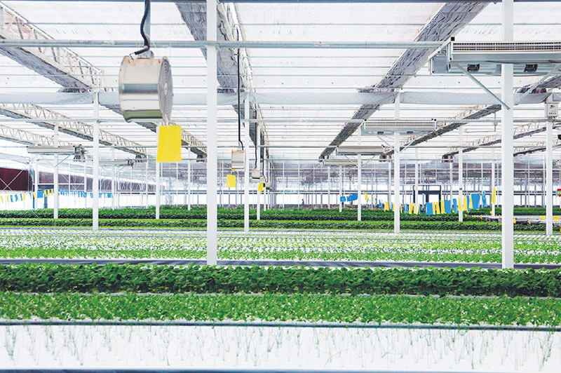 凯发k8国际股份有限公司深度调研 如何增强脱贫地区和脱贫群众