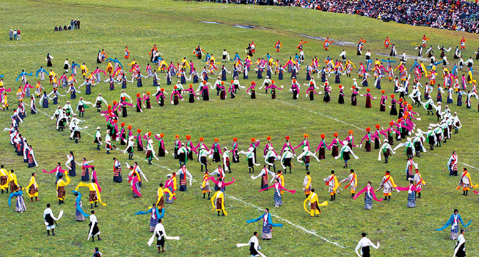 推动民族团结进步事业高质量发展