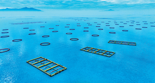 深度调研 | “百千万工程”：如何破题城乡区域发展不平衡