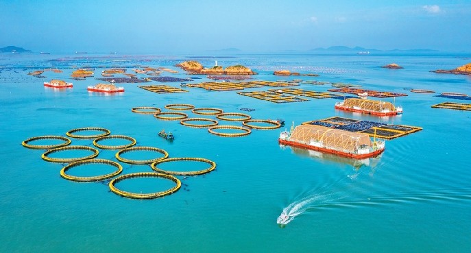 《求是》杂志编辑部：走有中国特色向海图强之路