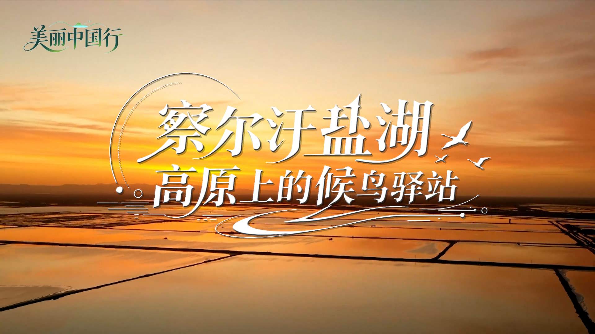 美丽中国行 | 察尔汗盐湖：高原上的候鸟驿站