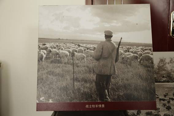 1645F1B30DF64ADF9D7813E2DF956B58