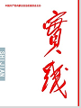 实践