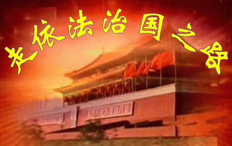 依法治国：专家观点集束