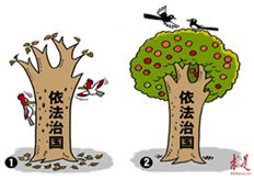 依法治国，公平正义你我都有份儿