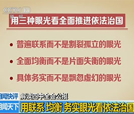 解读四中全会公报：回答党的领导和依法治国的关系