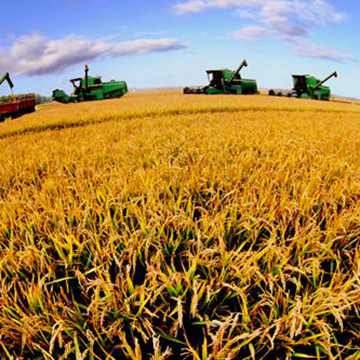 农业现代化：怎么看　怎么办