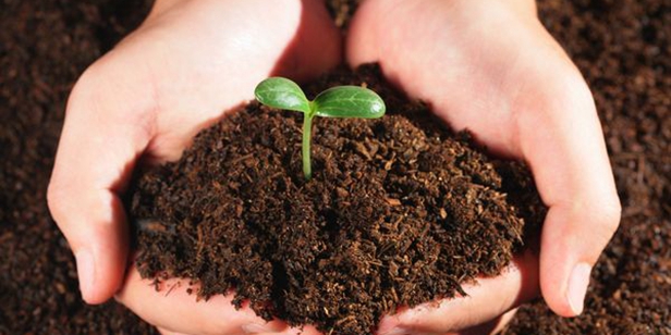 耕地保护：土有病　人知否