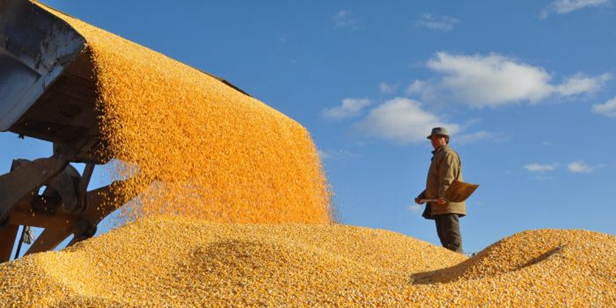 粮食安全是农业现代化的核心问题