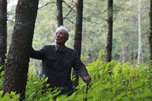 穷尽一生书写为民情（下）