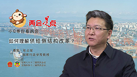 小Q带你看两会：如何理解供给侧改革