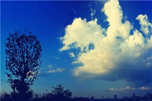 共产党员的&ldquo;特权&rdquo;