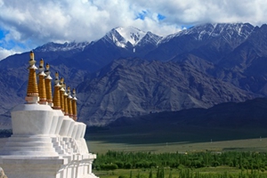 世界屋脊添野趣