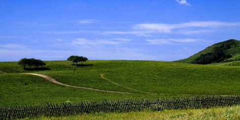 记者心中的塞罕坝