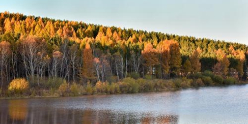 书写塞罕坝绿色奇迹　凝聚生态文明共识