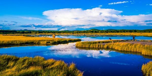 面朝“林海”，播种希望