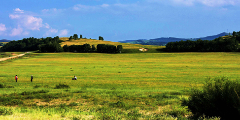 属于塞罕坝的“大型魔术秀”