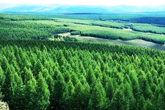 从两会看美丽中国时间表