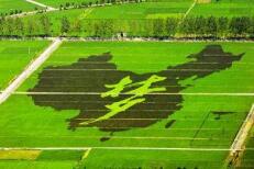 习近平支招&ldquo;乡村振兴&rdquo;