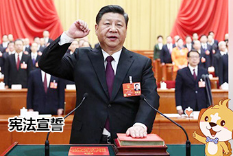 小Q连环话之宪法宣誓